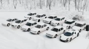 снежный скин для каждой машины (не моды) 1 - BeamNG.drive - 2